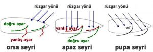 orsa-apaz-pupa seyirleri